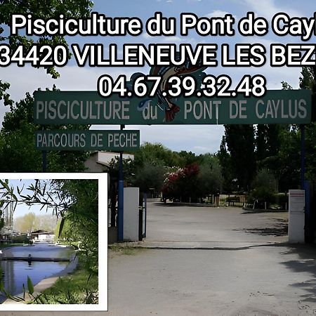 Tiny House 1, 2 Ou 3 Personnes Soeursgrises Beziers Centre Historique Coeur De L'Herault Capitale D'Occitanie Екстериор снимка