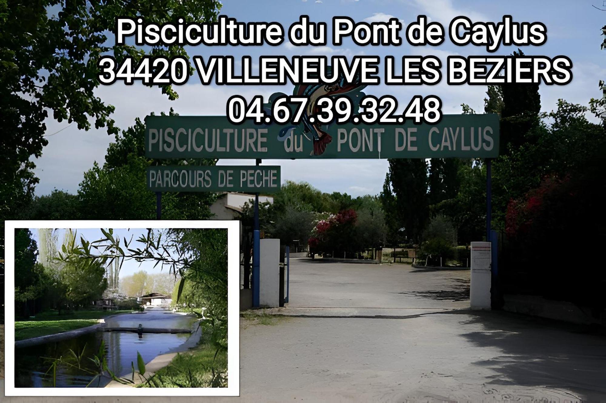 Tiny House 1, 2 Ou 3 Personnes Soeursgrises Beziers Centre Historique Coeur De L'Herault Capitale D'Occitanie Екстериор снимка